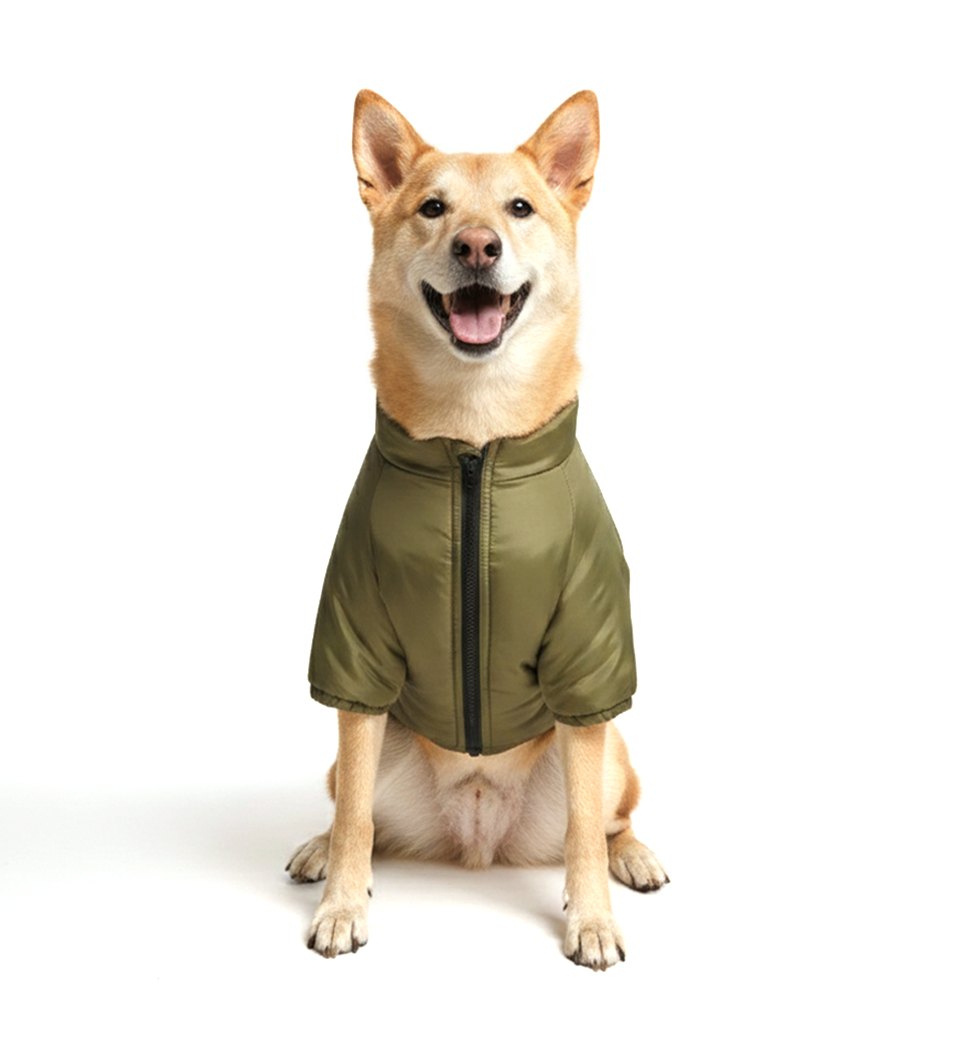 Puffer Jacket