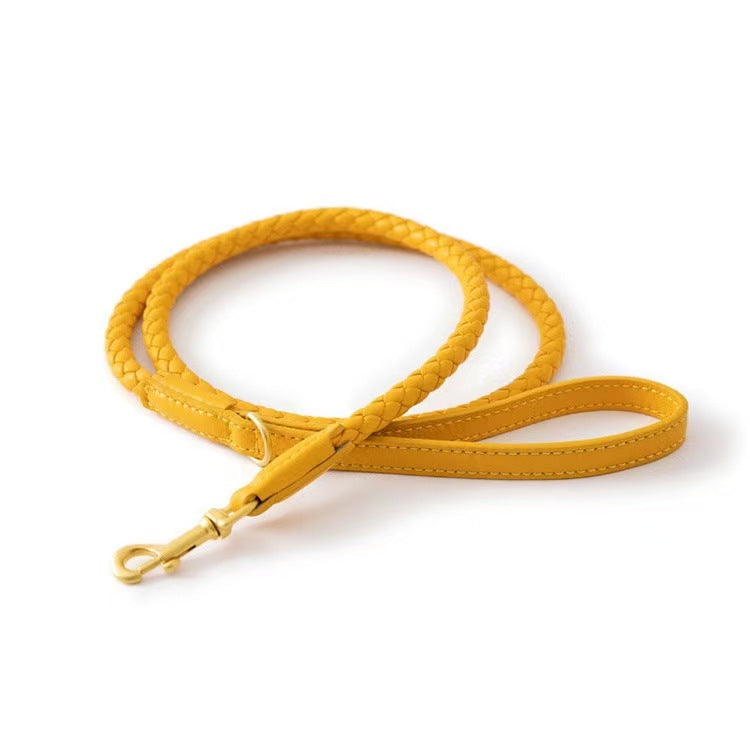Braided Leather Leash
