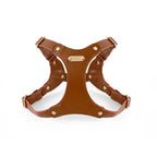 Leather Harness