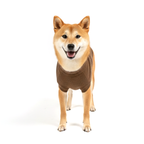 Knit Vest🐶