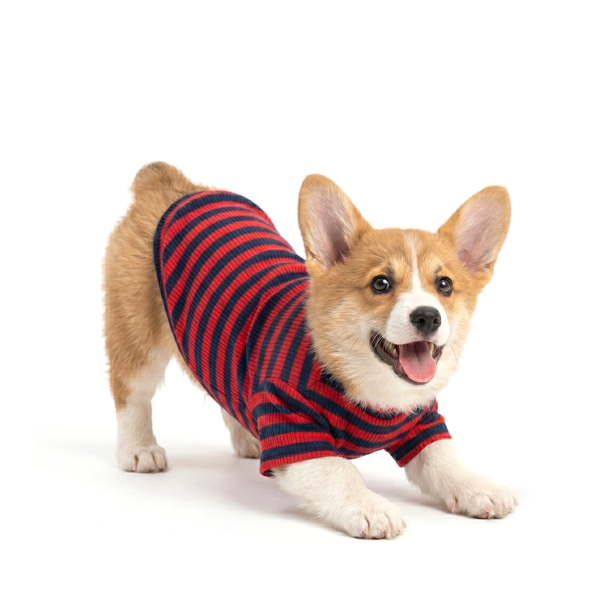 Rib Turtle-neck