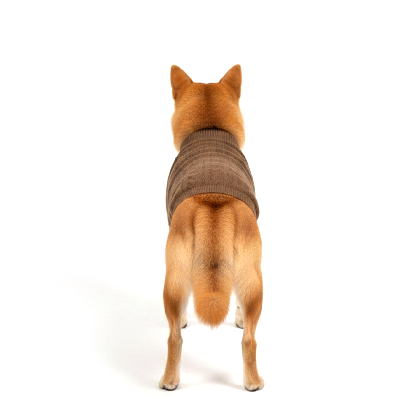 Knit Vest🐶