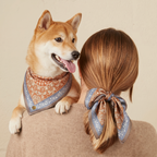 Silk Bandana