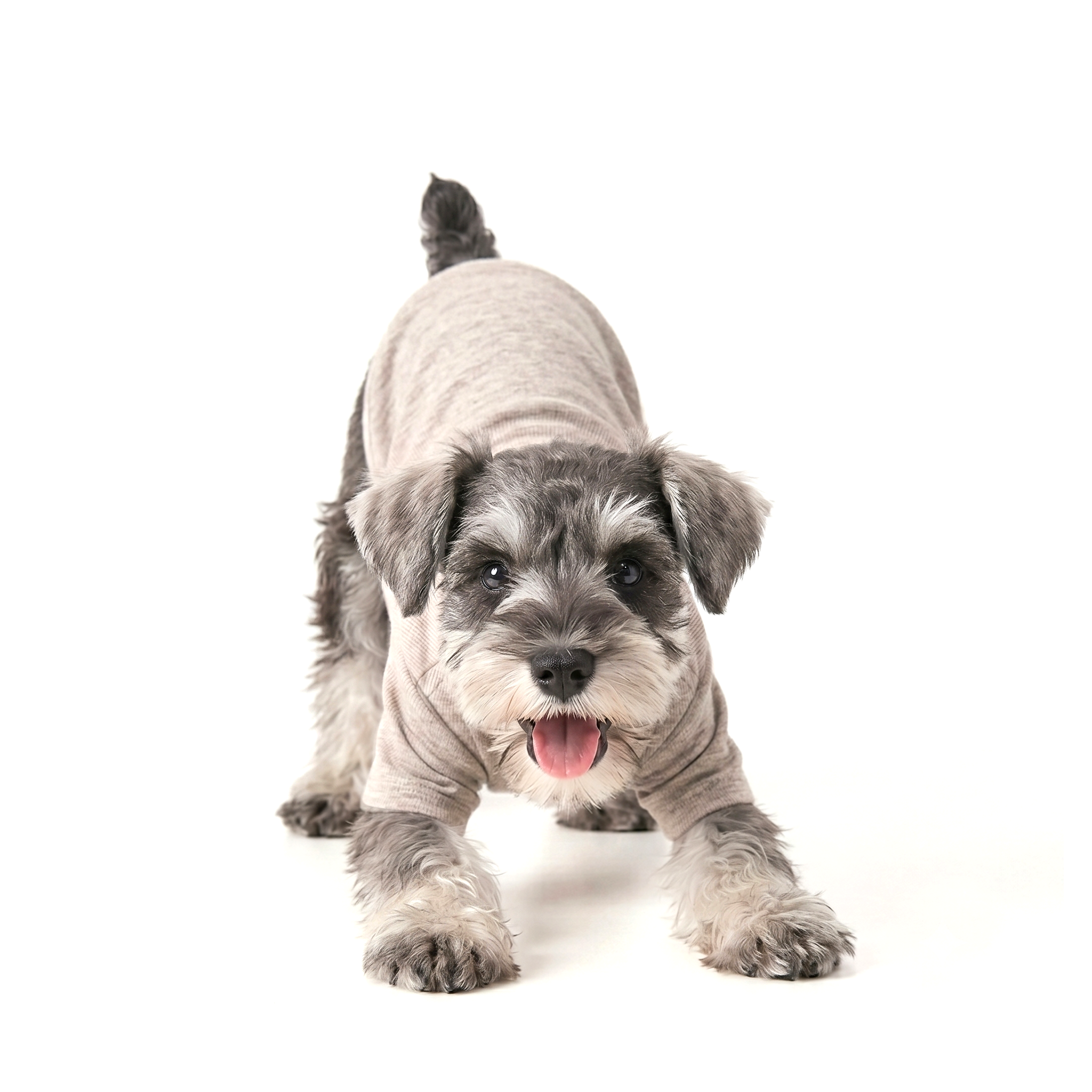 Turtle-neck Underwear