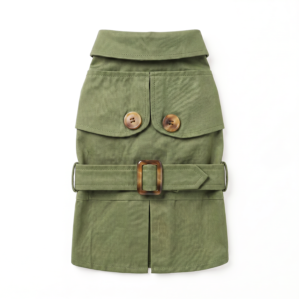 Trench Coat