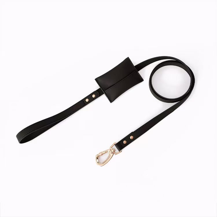 Leather Leash