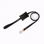 Leather Leash
