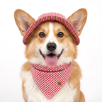 Waterproof Bandana