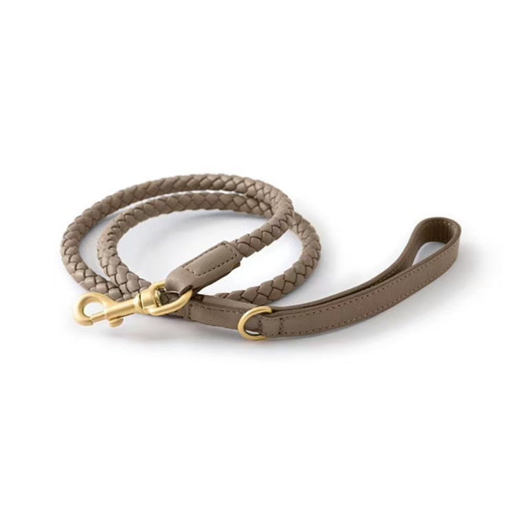 Braided Leather Leash