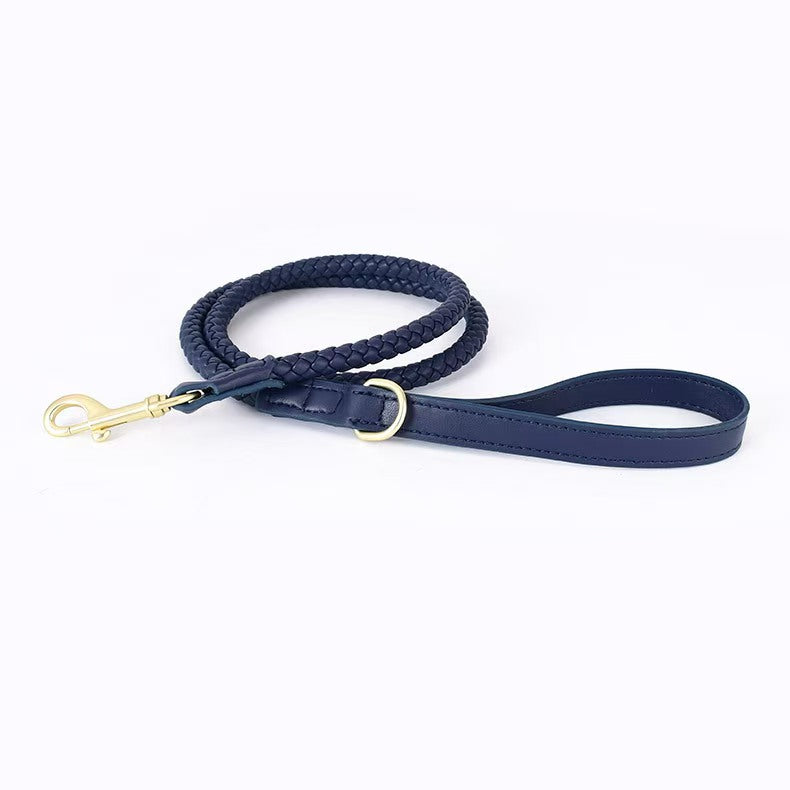 Braided Leather Leash