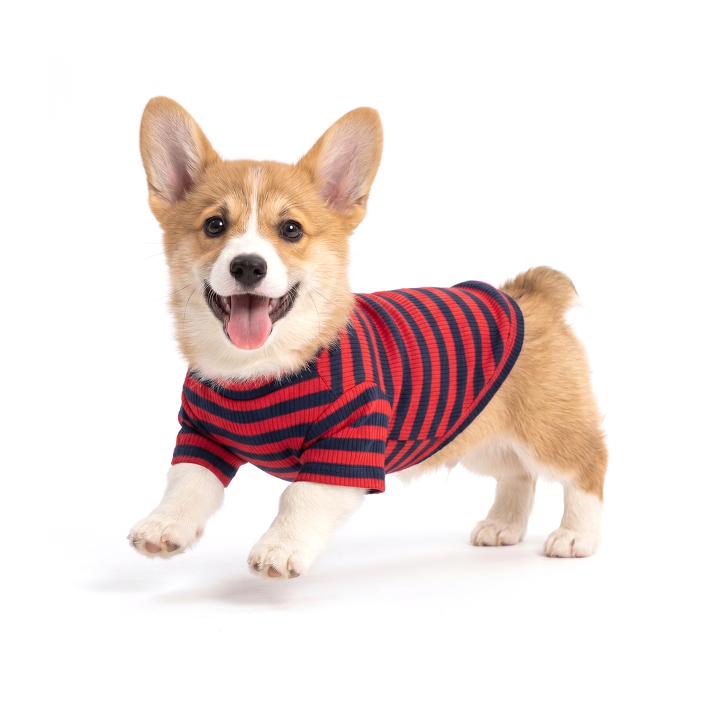 Rib Turtle-neck