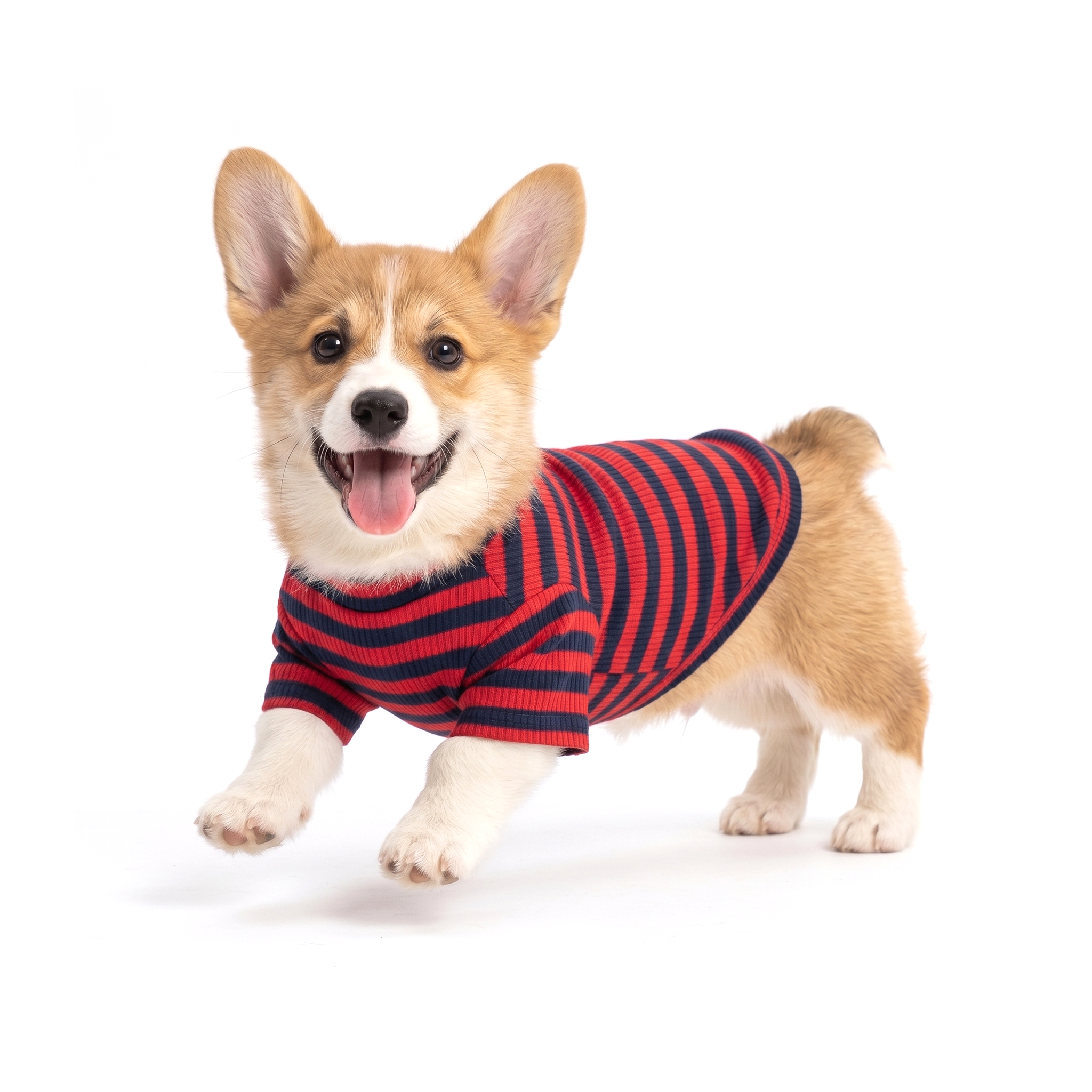 Rib Turtle-neck