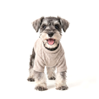 Turtle-neck Underwear