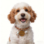 Pet Collar - Pearl