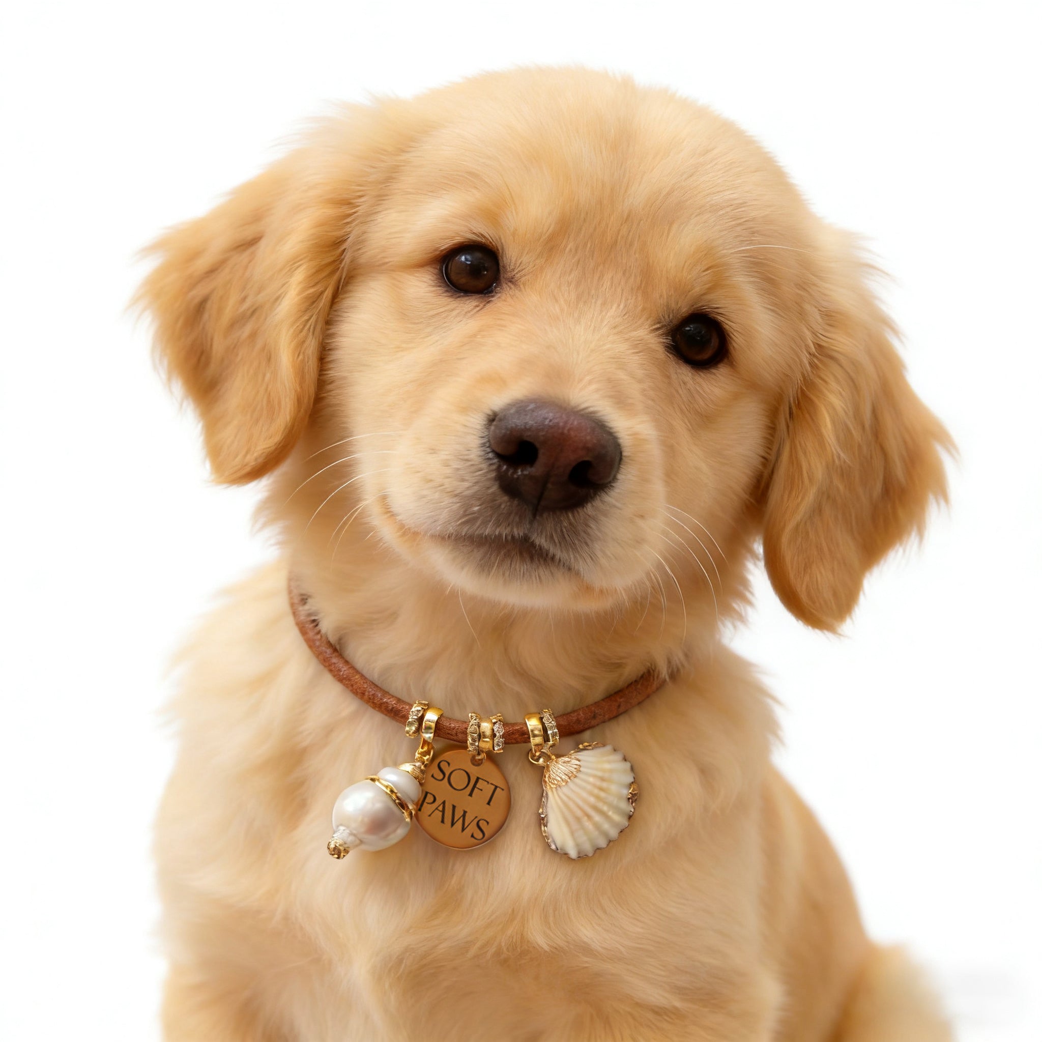 Pet Collar - Shell