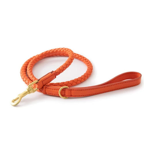 Braided Leather Leash