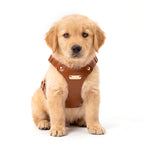 Leather Harness