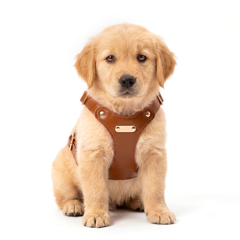 Leather Harness