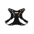 Leather Harness