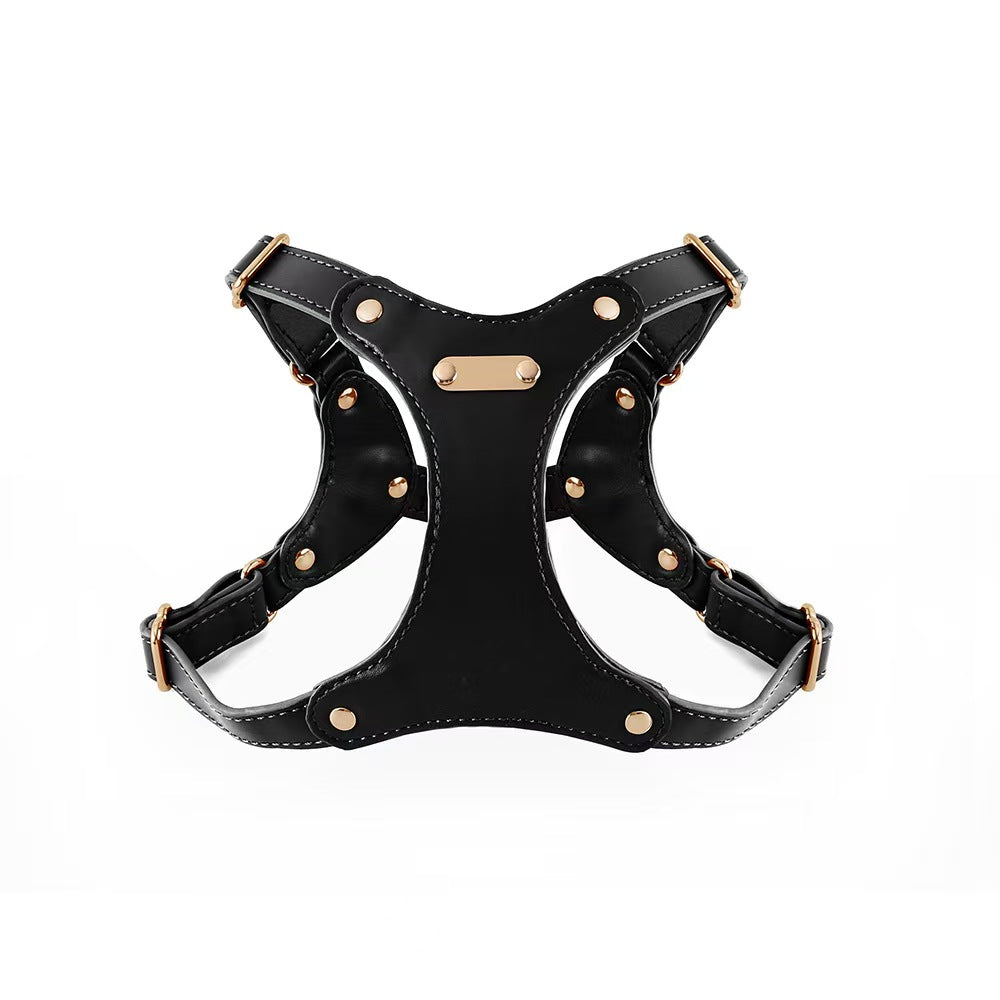 Leather Harness