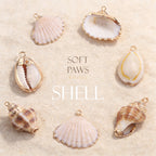 Leather Bracelet  - Shell